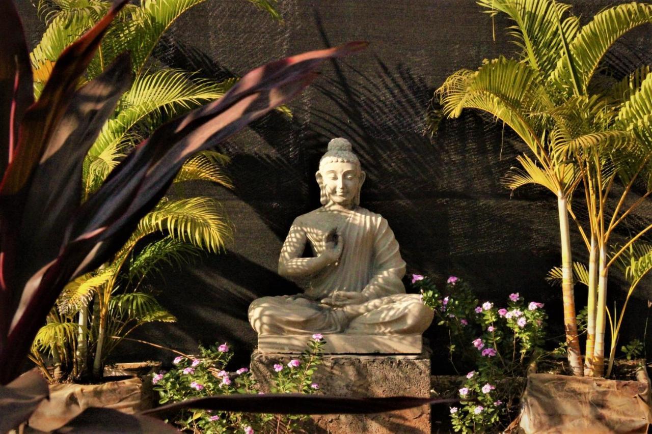 Lotus Sutra Hotel Arambol Bagian luar foto