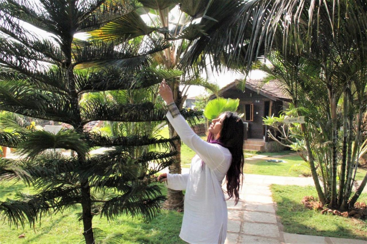Lotus Sutra Hotel Arambol Bagian luar foto
